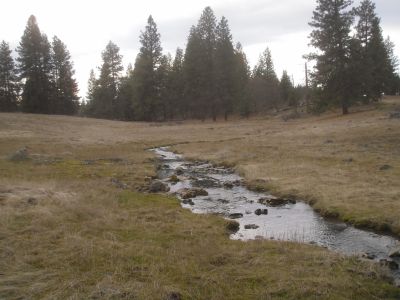 Badger Creek is the season stream the flows from Lee Key pond at the west end of the ranch.