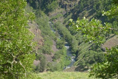 Looking down into the Little Klickitat River canyon.