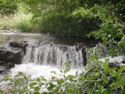 A waterfall on the Little Klickitat River.