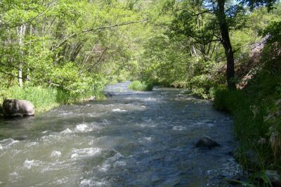 The Little Klickitat River through the ranch.