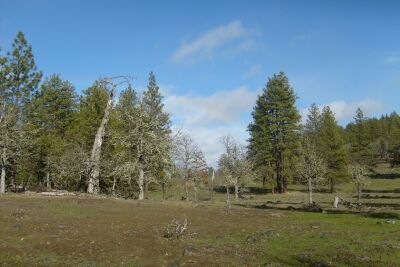 A spring rainbow in the meadows of the ranch.