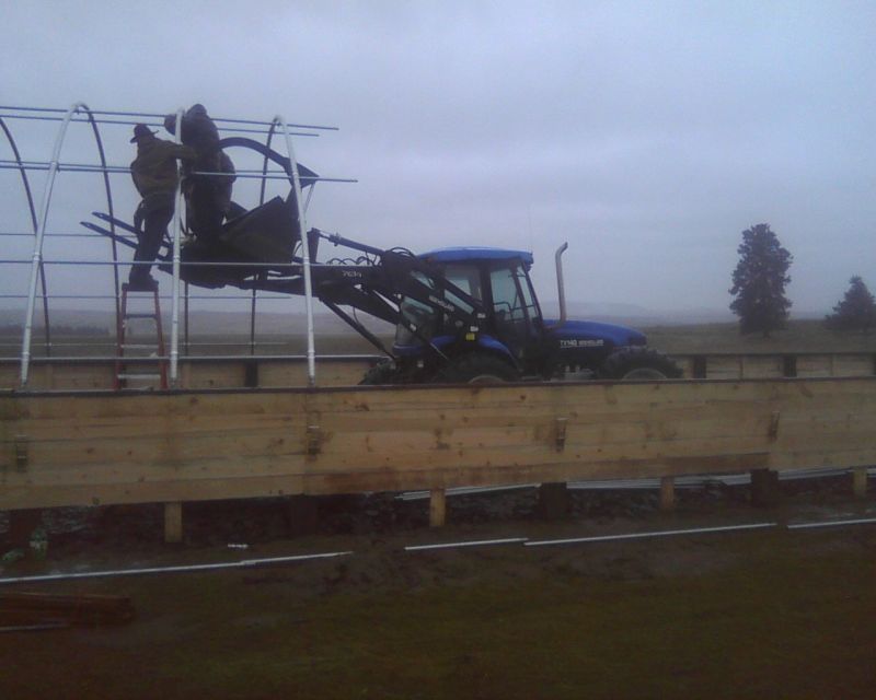 Using the bucket to build the hoophouse.