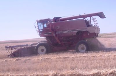Spitting Out Chaff