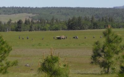 Allies advanceing across the field.
