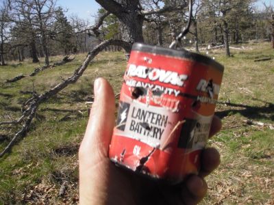 The bear found the battery not too tasty.